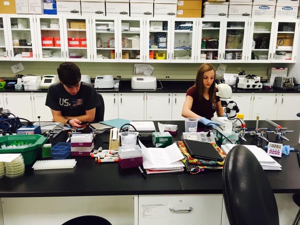 Two Science Coach students conduct an experiment in the lab