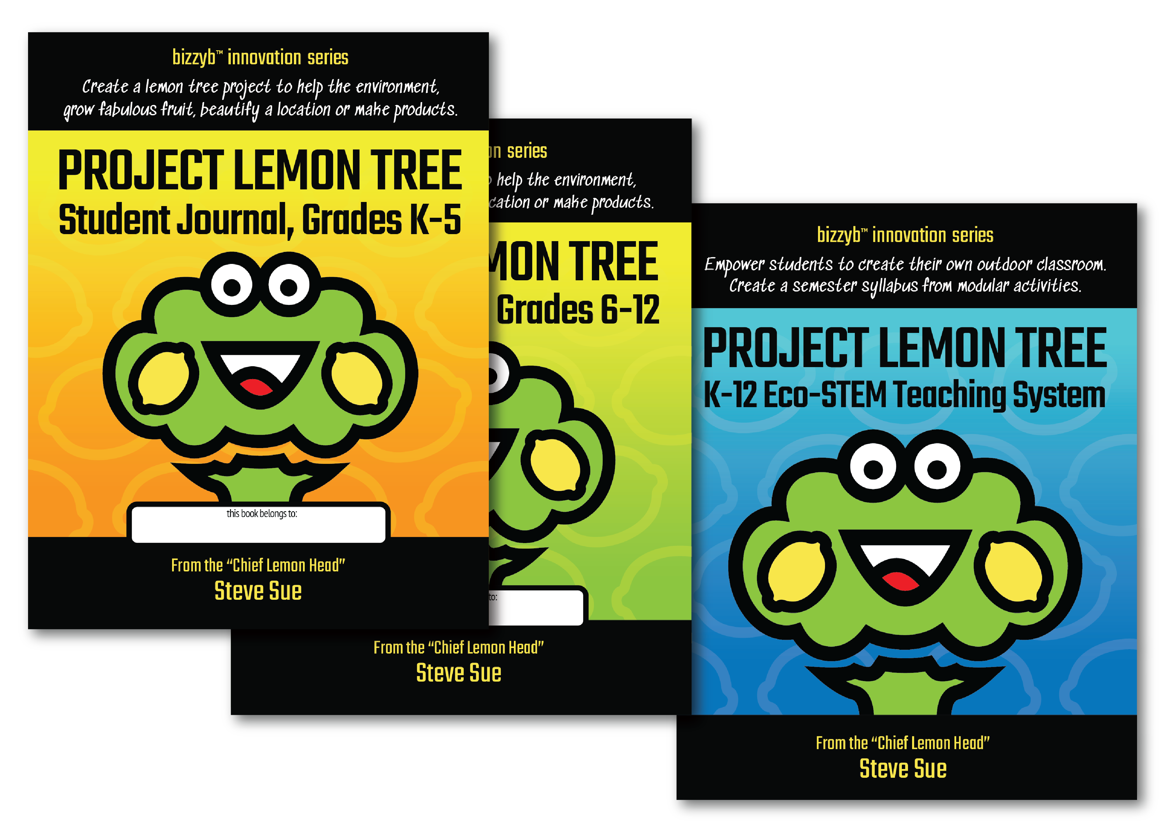 Project Lemon Tree curriculum workbook | BizzyB